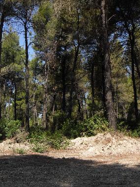 Villa en SANI (Chalkidiki)Casa de vacaciones