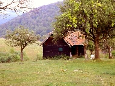 Chalet en Vale (Sibiu)Casa de vacaciones