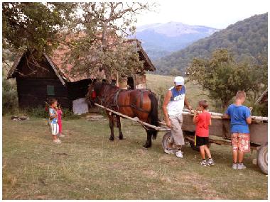 Chalet en Vale (Sibiu)Casa de vacaciones