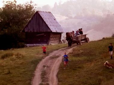 Chalet en Vale (Sibiu)Casa de vacaciones