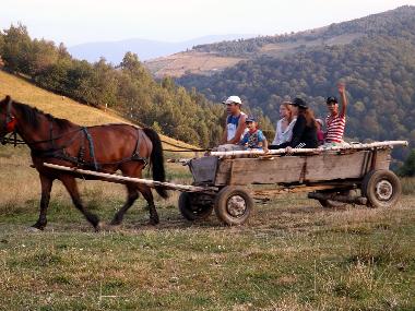 Chalet en Vale (Sibiu)Casa de vacaciones