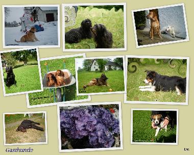 Apartamento de vacaciones en Malente-Krummsee (Holsteinische Schweiz)Casa de vacaciones
