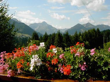 Apartamento de vacaciones en Riezlern  (Bayerische Schwaben)Casa de vacaciones