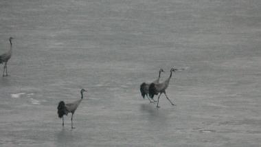 Casa de vacaciones en Asarum (Blekinge)Casa de vacaciones