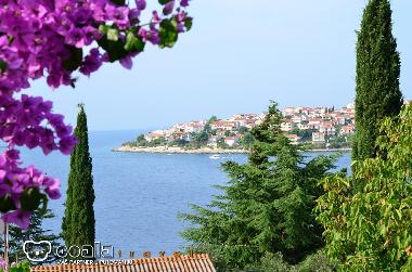 Apartamento de vacaciones en Okrug Gornji (Splitsko-Dalmatinska)Casa de vacaciones