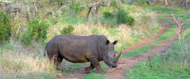 Casa de vacaciones en Phalaborwa (KRUGERPARK) (Northern Province)Casa de vacaciones