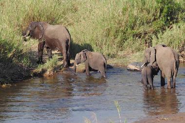 Casa de vacaciones en Phalaborwa (KRUGERPARK) (Northern Province)Casa de vacaciones
