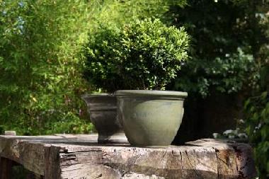 Cama y desayuno en 63440 (Puy-de-D�me)Casa de vacaciones