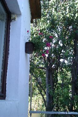 Casa de vacaciones en Balchik (Dobrich)Casa de vacaciones