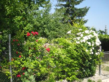 Casa de vacaciones en Balchik (Dobrich)Casa de vacaciones