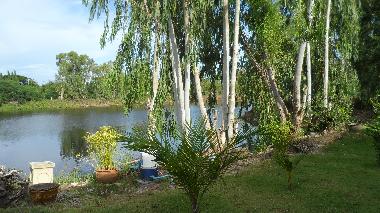 lago propidiad