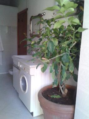 Apartamento de vacaciones en Bucine (Arezzo)Casa de vacaciones