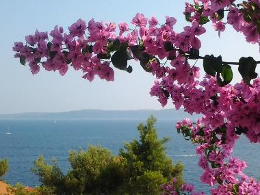 Apartamento de vacaciones en Okrug Gornji (Splitsko-Dalmatinska)Casa de vacaciones