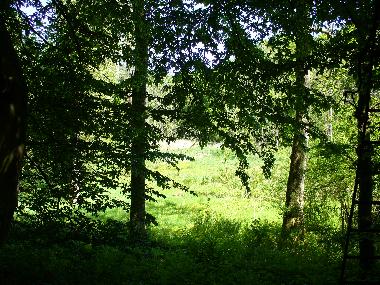 Apartamento de vacaciones en Holtsee (Ostsee-Festland)Casa de vacaciones