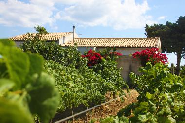 Apartamento de vacaciones en Menfi (Agrigento)Casa de vacaciones