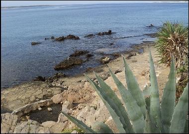 Apartamento de vacaciones en Pag , Mandre (Zadarska)Casa de vacaciones