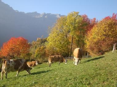 Chalet en Albinen (Albinen)Casa de vacaciones