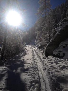 Chalet en Albinen (Albinen)Casa de vacaciones