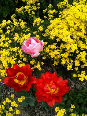 Chalet en Albinen (Albinen)Casa de vacaciones