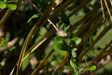 Casa de vacaciones en Bonaire (Bonaire)Casa de vacaciones