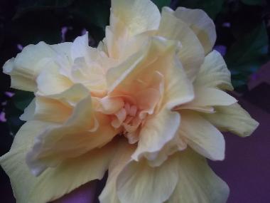 Apartamento de vacaciones en Gioiosa Marea (Messina)Casa de vacaciones