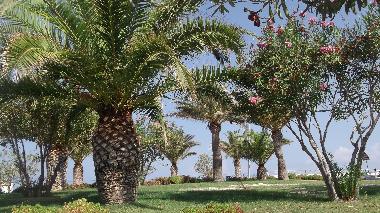 Apartamento de vacaciones en Gioiosa Marea (Messina)Casa de vacaciones