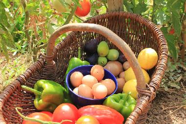 Casa de vacaciones en Quelfes (Algarve)Casa de vacaciones