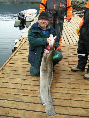 Apartamento de vacaciones en Eidsv�g i Romsdal (More og Romsdal)Casa de vacaciones