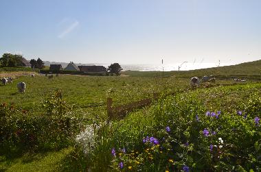 Casa de vacaciones en sainte marguerite sur mer (Seine-Maritime)Casa de vacaciones