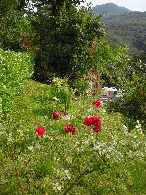 Casa de vacaciones en Brezzo di Bedero (Varese)Casa de vacaciones