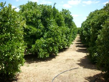 Casa de vacaciones en Poco Frito (Algarve)Casa de vacaciones