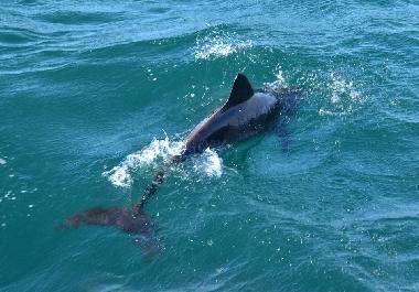 Apartamento de vacaciones en SAL REI (Boa Vista)Casa de vacaciones