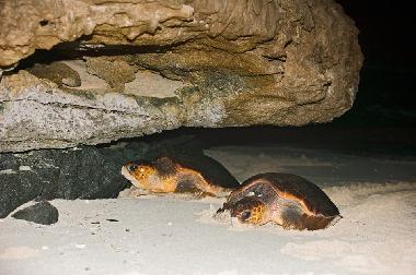 Apartamento de vacaciones en SAL REI (Boa Vista)Casa de vacaciones