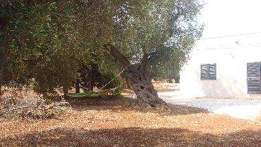 Casa de vacaciones en serranova (Brindisi)Casa de vacaciones