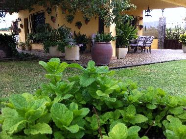 Chalet en CHIPIONA (C�diz) (C�diz)Casa de vacaciones