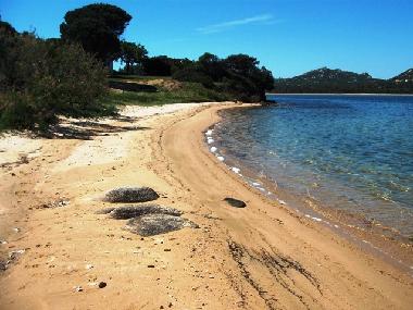 Casa de vacaciones en Baja Sardinia (Sassari)Casa de vacaciones