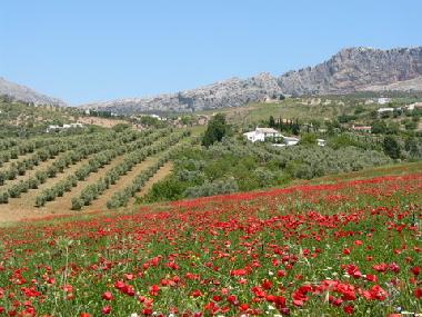 Casa de vacaciones en Villanueva de la Concepcion (Mlaga)Casa de vacaciones