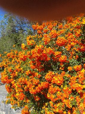 Villa en Tijarafe (La Palma und El Hierro)Casa de vacaciones