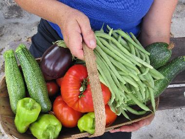 Apartamento de vacaciones en A Teixeira (Ourense)Casa de vacaciones