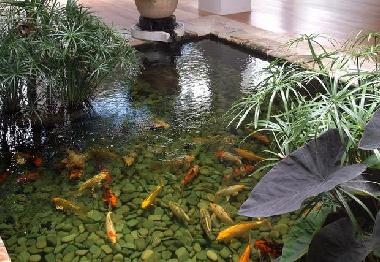 Villa en Saint James (Saint James)Casa de vacaciones