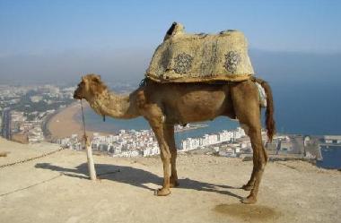 Apartamento de vacaciones en agadir (Agadir)Casa de vacaciones