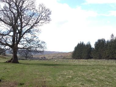 Casa de vacaciones en Rookhope (Tees Valley and Durham)Casa de vacaciones