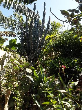 Casa de vacaciones en la boca trinidad (Sancti Spiritus)Casa de vacaciones