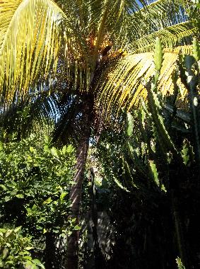 Casa de vacaciones en la boca trinidad (Sancti Spiritus)Casa de vacaciones