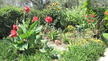 Hotel en Kala Nera (Magnisia)Casa de vacaciones