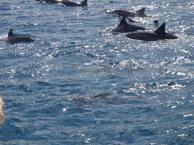 Apartamento de vacaciones en Trou aux Biches (Pamplemousses)Casa de vacaciones