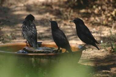 Villa en Massa (Agadir)Casa de vacaciones
