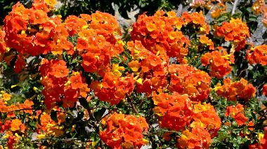 Villa en Tijarafe (La Palma und El Hierro)Casa de vacaciones