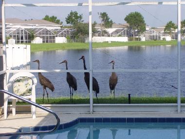 Villa en Kissimmee (Florida)Casa de vacaciones