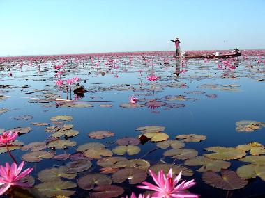 Casa de vacaciones en Udon Thani (Udon Thani)Casa de vacaciones